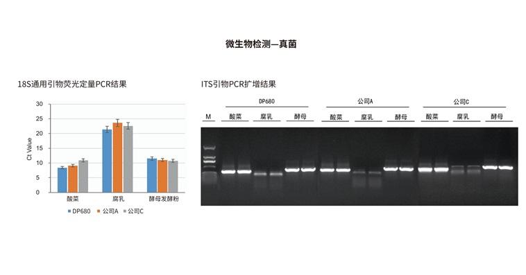 发酵食品真菌DNA检测（DP680）